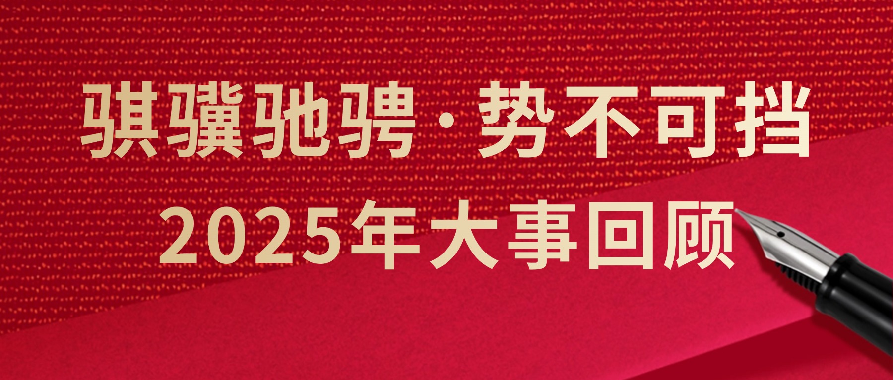 骐骥驰骋·势不可挡！2025年大事回顾！