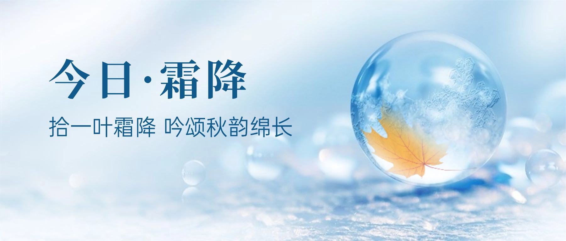 时序轮转，今日霜降！暖光领航，智造无疆！